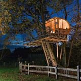 Between Alder and Oak