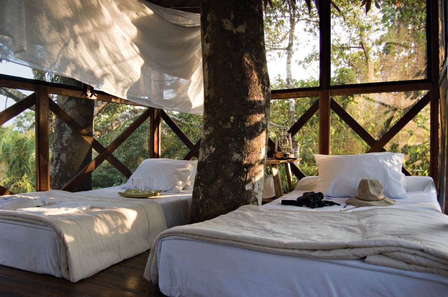 Canopy Tree House Canopy Tree House
