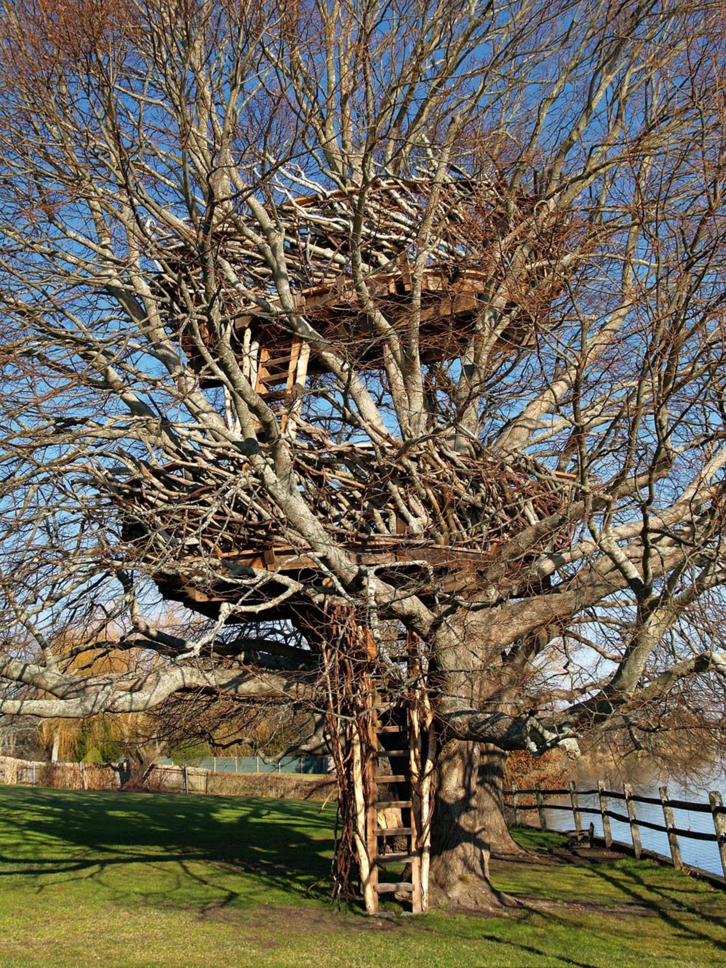Lake-nest tree house Lake-nest tree house