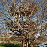 Lake-nest tree house