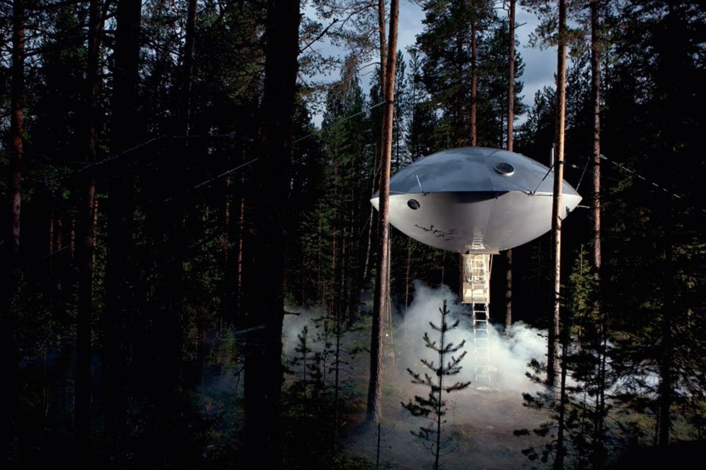 Ufo Tree Hotel