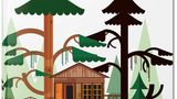 Tree Houses. Baumhäuser  Philip Jodidio  Hardcover, 26 x 34 cm, 352 Seiten   ISBN 978-3-8365-2664-7  Mehrsprachige Ausgabe: Deutsch, Englisch, Französisch   € 49,99