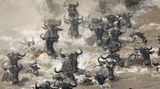 ... der Gnus liefern einen wichtigen Beitrag zum Ökosystem des Flusses. Im Schnitt dauert es sieben Jahre, bis sich die Knochen der Tiere zersetzt haben. In dieser Zeit dient das Gerippe als Langzeitquelle für Nährstoffe, schreibt das Forscherteam um Amanda Subalusky in den "Proceedings of the National Academy of Sciences" (PNAS).
