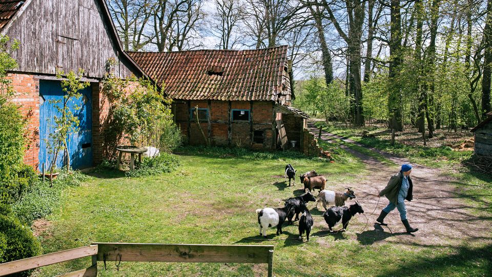 Maria Anna Leenen auf ihrem kleinen Bauernhof. Gesellschaft leisten ihr nur ein paar Ziegen