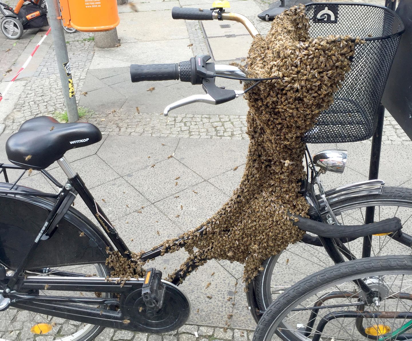 Bienenschwarm auf einem Fahrrad Benutzen auf eigene Gefahr: Ob man mit so einem Fahrrad noch zu einer entspannten Fahrrad-Tour aufbrechen sollte? Tausende Bienen bevölkern das schwarze Damen-Fahrrad und haben - dankenswerterweise - Sattel und Lenker frei gelassen.