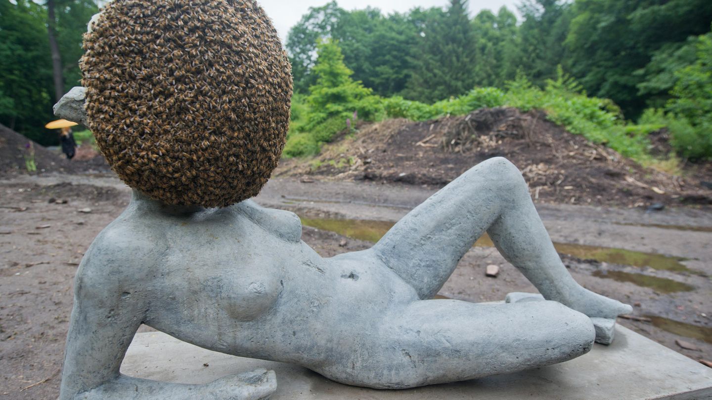Bienen auf einer Statue ...sollte ein ortsansäßiger Imker kontaktiert werden. Er kann das Volk fachmännisch einfangen und freut sich im Anschluss über ein neues Bienenvolk, das er in einem Bienenkasten ansiedeln kann. Der Imker selbst kann den Schwarmtrieb unterdrücken, indem er...