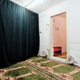 In der Moschee in der Hebräischen Universität Jersualem vertrauen die Gläubigen nicht nur auf den Schutz Gottes, sondern auch auf die örtliche Sicherheits-Architektur.