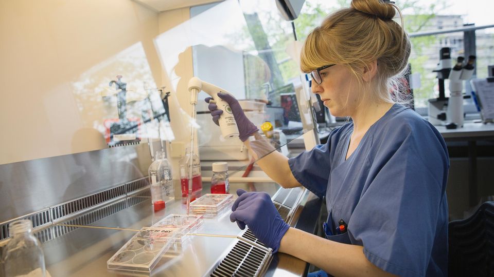 Wie in "Dr. House": Im Labor des Instituts für Virologie untersucht eine Mitarbeiterin Proben von Patienten auf Erreger Im Labor des Instituts für Virologie untersucht eine Mitarbeiterin Proben von Patienten auf Erreger