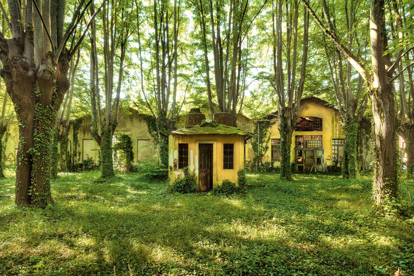 Lost Places: In der Toskana machte sich der Fotograf Sven Fennema mit der Hilfe von Satellitenfotos auf die Suche nach einer aufgelassenen Sprengstofffabrik. Er entdeckte ein Dorf, in dem einst 4000 Menschen arbeiteten. 1944 übernahm die deutsche Wehrmacht den Ort, kurz darauf sprengten Partisanen das Schienennetz der Fabrik - seitdem ruht die Produktion und die Natur hat Einzug gehalten. In der Toskana machte sich der Fotograf Sven Fennema mit der Hilfe von Satellitenfotos auf die Suche nach einer aufgelassenen Sprengstofffabrik. Er entdeckte ein Dorf, in dem einst 4000 Menschen arbeiteten. 1944 übernahm die deutsche Wehrmacht den Ort, kurz darauf sprengten Partisanen das Schienennetz der Fabrik - seitdem ruht die Produktion und die Natur hat Einzug gehalten.