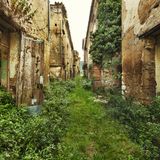 Reste eines Bergdorfs: Im November 1980 wurde Süditalien von einem Erdbeben der Stärke 6,9 auf der Richterskala heimgesucht. In Panik liefen die 6000 Bewohner einer Ortschaft davon, retteten später ihr Nötigstes und ließen sich anderswo nieder. Seitdem erobert sich die Natur die Ruinen zurück.