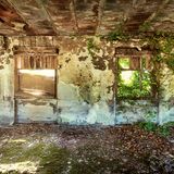 Efeu rankt sich durchs Fenster und nimmt das Mauerwerk eines alten Industriekomplexes in Beschlag.