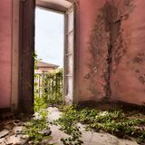 "Die Grenze zwischen außen und innen scheint aufgehoben", schreibt Sven Fennema als Bildlegende zu diesem Foto eines bewachsenen Balkons: