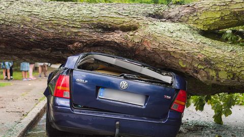 Niedersachsen Testfahrer Auf Vw Teststrecke Todlich Verungluckt Stern De