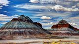 Petrified Forest