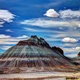 Petrified Forest