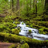 Olympic Nationalpark