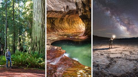 Nationalparks in den USA: Trotz Trump - Amerika ist ein schönes Land