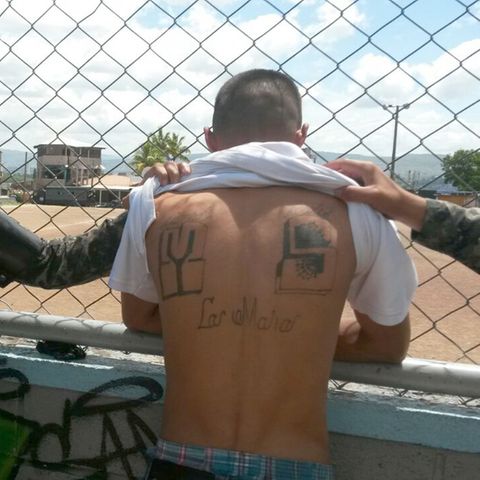 MS-13 Festnahme