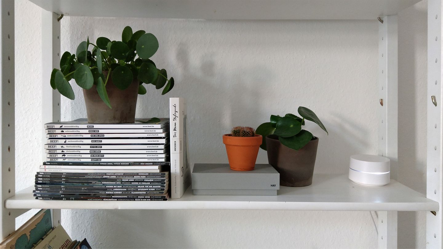 Google Wifi steht in einem weißen Regal zwischen Büchern und Pflanzen