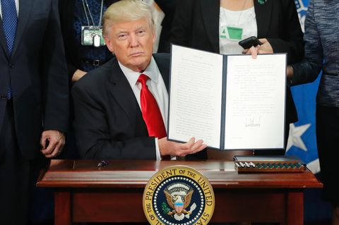 Donald Trump Muslimbann