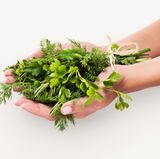 Frische Kräuter halten sich nicht lange, man kann sie im Backofen trocknen und danach für längere Zeit aufbewahren. Wer aber den frischen Geschmack erhalten möchte, sollte Kräuter einfrieren. Bei Bedarf hat man so immer frische Kräuter zur Hand.