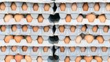 Eier sollte man natürlich nicht am Stück einfrieren, sondern im flüssigen Zustand. Verquirlen Sie Eier und frieren Sie sie in einem Plastikbeutel oder in einem Eiswürfelbehälter ein. Sie können Eigelb und Eiweiß auch getrennt voneinander einfrieren - perfekt zum Backen.