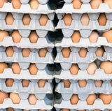 Eier sollte man natürlich nicht am Stück einfrieren, sondern im flüssigen Zustand. Verquirlen Sie Eier und frieren Sie sie in einem Plastikbeutel oder in einem Eiswürfelbehälter ein. Sie können Eigelb und Eiweiß auch getrennt voneinander einfrieren - perfekt zum Backen.