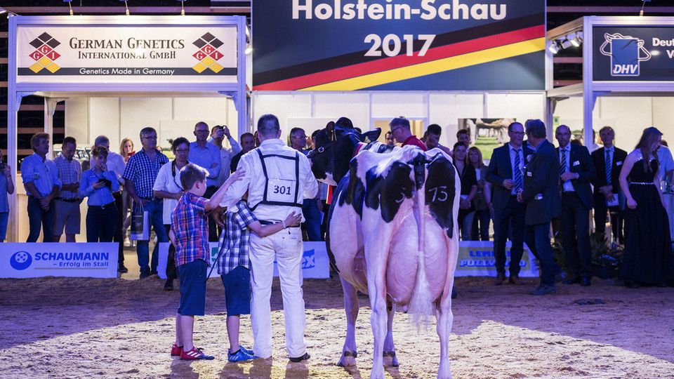 Landwirtschaft : Sieger Henrik Wille mit Sieger-Söhnen Hinnerk und Hennes – und Sieger-Kuh Gaga Sieger Henrik Wille mit Sieger-Söhnen Hinnerk und Hennes – und Sieger-Kuh Gaga
