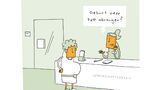 Cartoon-Buch: Achtung: Fiese Bilder