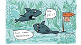 Cartoon-Buch: Achtung: Fiese Bilder