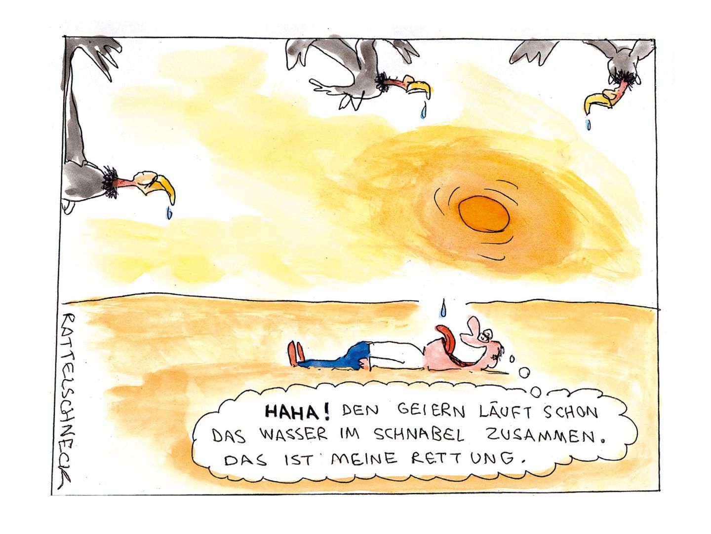Cartoon-Buch: Achtung: Fiese Bilder