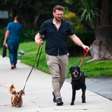 ...Tausenden Haustierbesitzern in den USA, die ihren Haustieren Medizinalhanf verabreichen. Die Mittel sollen körperliche und psychische Leiden lindern. Brett ist von der Wirkung des Cannabidiols überzeugt: "Es hat ihr wirklich geholfen." Längst haben Firmen...