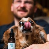 "Es gibt keine Studien mit Hunden oder Katzen und schon gar keine mit Meerschweinchen oder anderen Arten", sagt der Vorsitzende des Tierärzteverbandes in Kalifornien, Ken Pawlowski. "Deshalb weiß ich nicht, welchen möglichen Nutzen es hat, wenn es überhaupt einen gibt." Für eine Besserung der Symptome, wie sie einige Tierhalter bei ihren Lieblingen feststellen, hat er eine einfache Erklärung: "Dem Hund kann es auch gut gehen, weil er high ist."