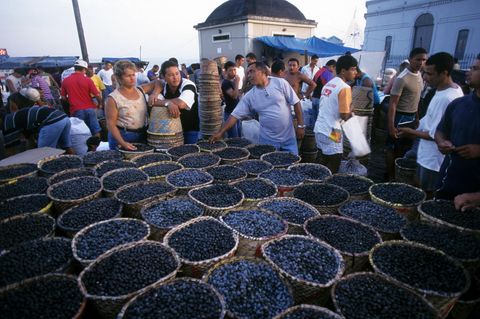 Acai