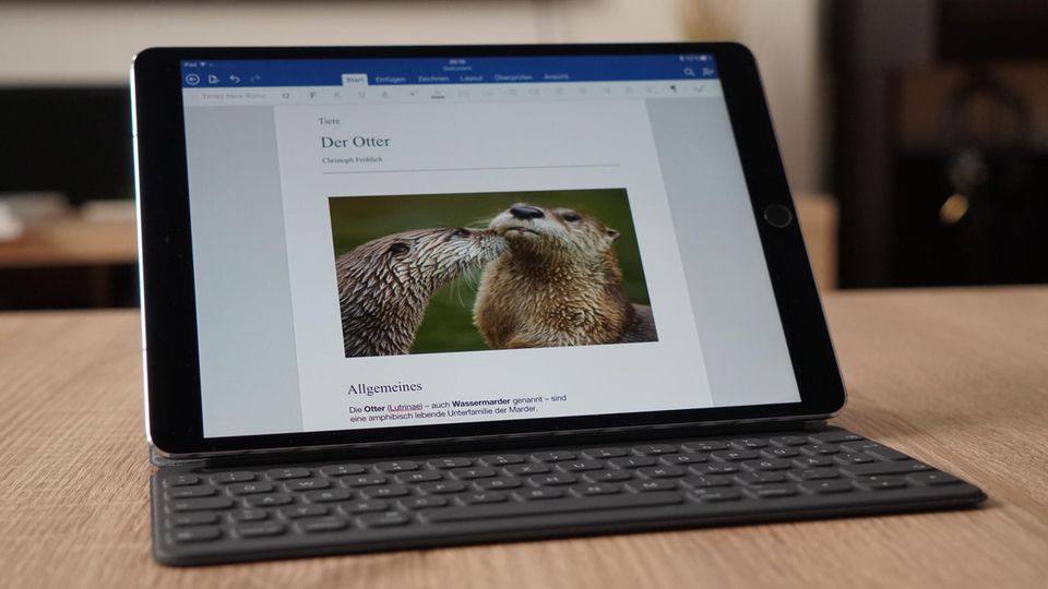 Mit der passenden Tastatur-Hülle kann man auch längere Texte auf dem Tablet schreiben. Mit der passenden Tastatur-Hülle kann man auch längere Texte auf dem Tablet schreiben.
