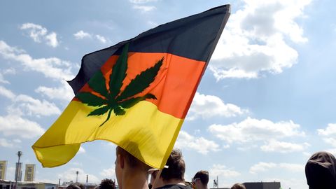 Cannabis auf Rezept: Der Staat vergibt erste Lizenzen für den Anbau