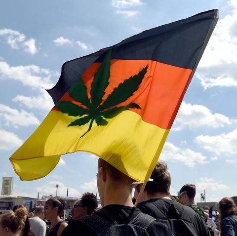 Cannabis auf Rezept: Der Staat vergibt erste Lizenzen für den Anbau