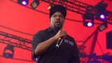 Ice Cube auf dem Roskilde