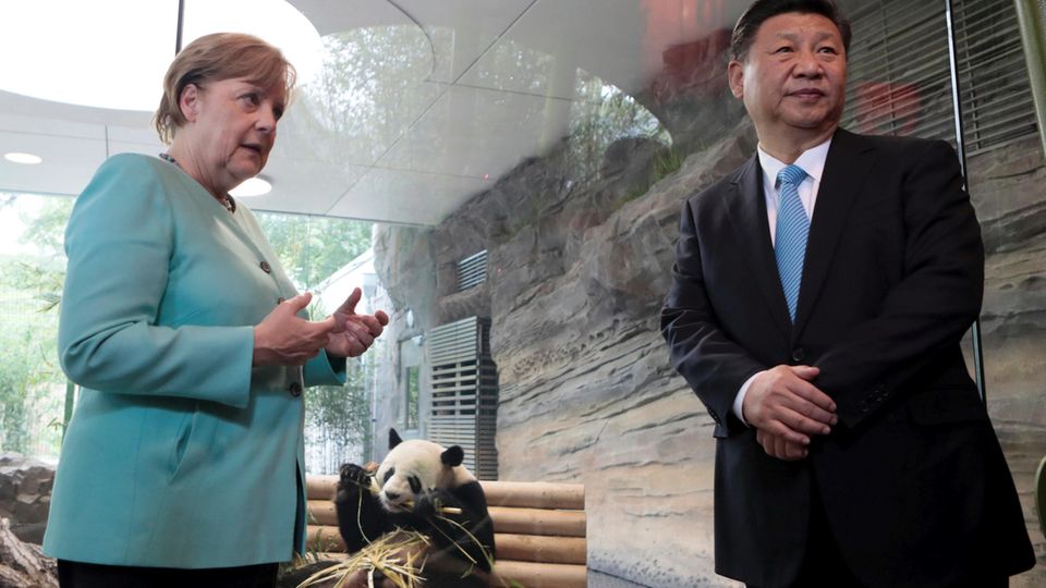 Panda-Diplomatie: Angela Merkel, Xi Jinping mit Panda-Bär im Berliner Zoo