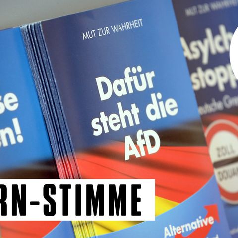 Die AfD hat Momentan Probleme mit ihren Provokationen eine breite Öffentlichkeit zu erreichen