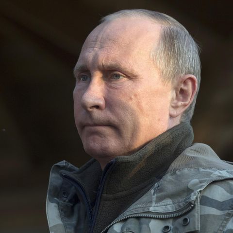 Beim G20-Gipfel wird Wladimir Putin zum ersten Mal auf Donald Trump treffen