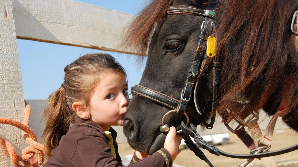 Tweets der Woche Ein Mädchen küsst ein Pony auf die Nüstern