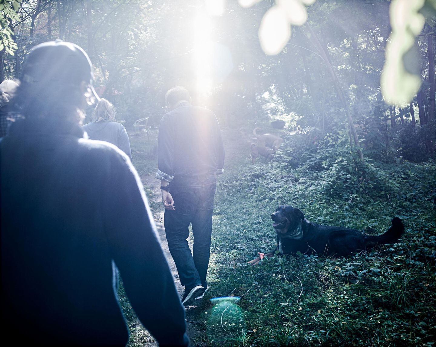 Platte im Wäldchen Wallstraße. "Je dichter ich Armut ausgeliefert war, um so näher war ich den Menschen und somit auch meinem eigenen Selbst."