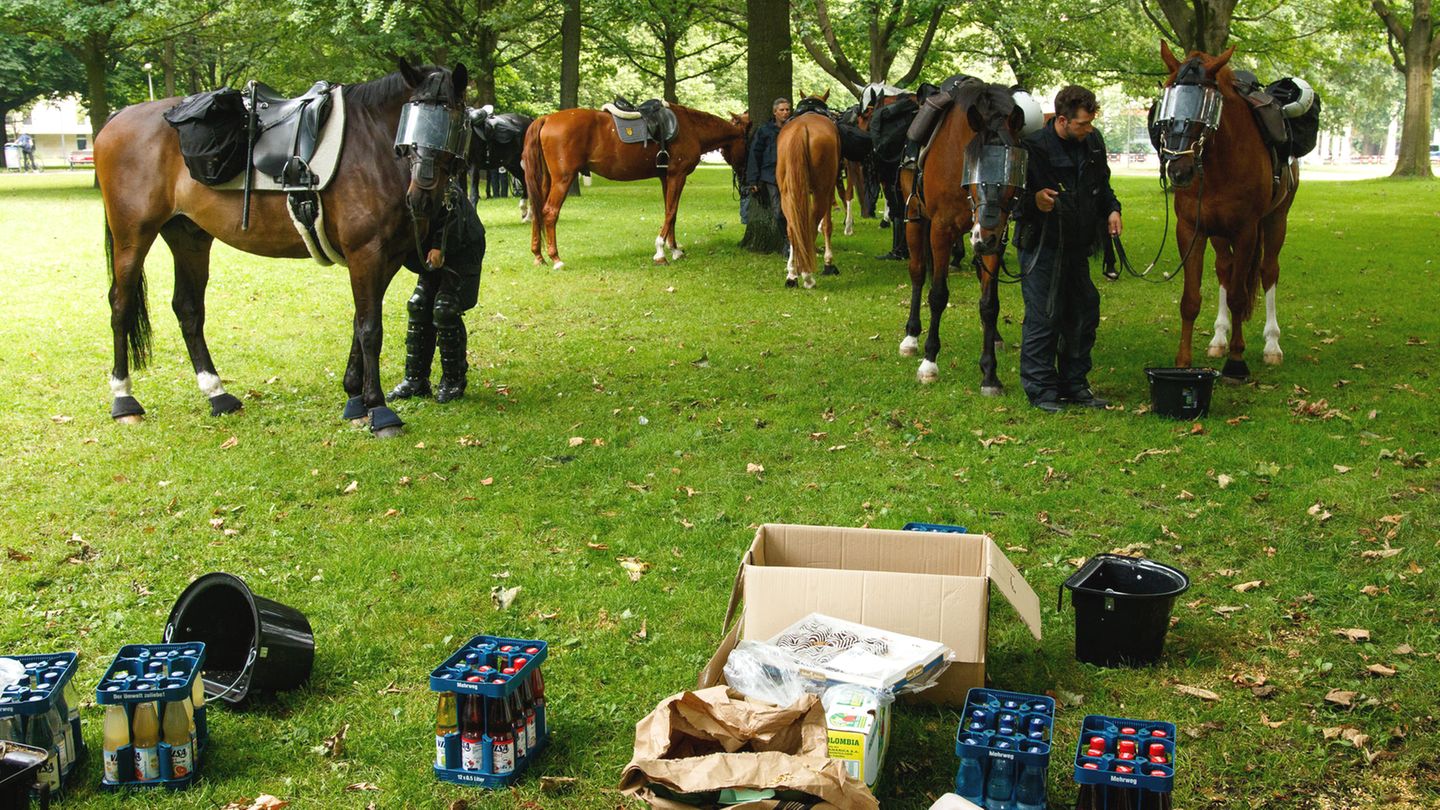 Pferde der Reiterstaffel der Polizei stehen am Freitag auf der Moorweide (Park) in Hamburg
