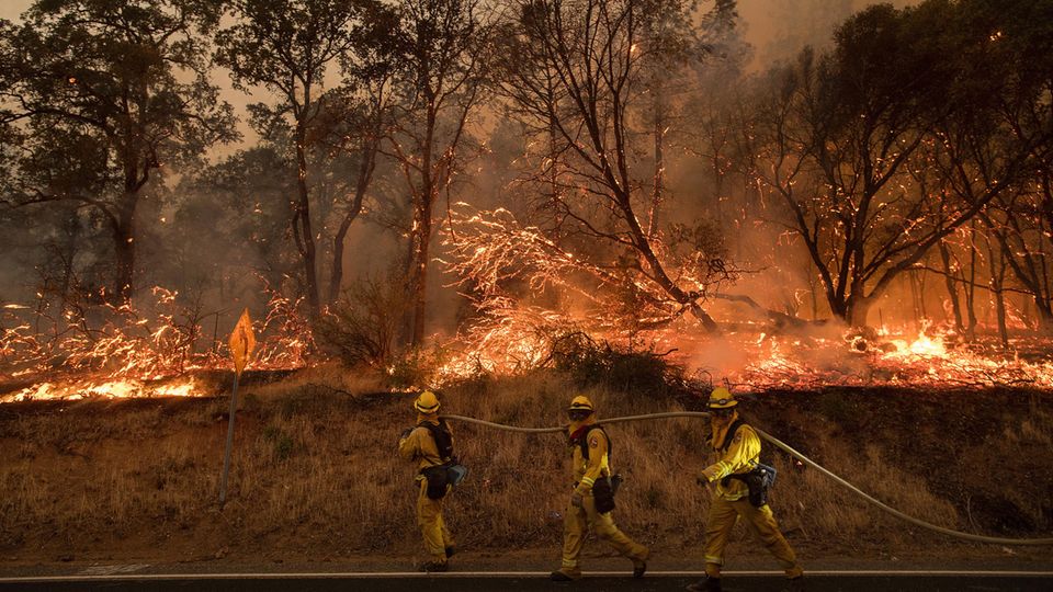 Feuerwehrmänner nahe Oroville in Kalifornien versuchen den Flächenbrand einzudämmen Feuerwehrmänner nahe Oroville in Kalifornien versuchen den Flächenbrand einzudämmen