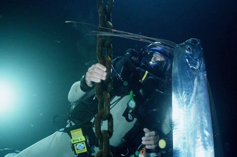 Seltene Sichtung : Taucher spürt geheimnisvollen Tiefsee-Fisch auf