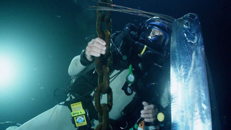 Seltene Sichtung : Taucher spürt geheimnisvollen Tiefsee-Fisch auf Seltene Sichtung : Taucher spürt geheimnisvollen Tiefsee-Fisch auf
