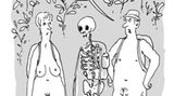 Urlaubs-Cartoons: So anstrengend können Ferien sein