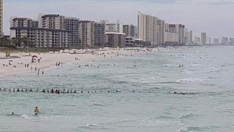 An einem Strand in Florida bilden Menschen eine Kette, um Ertrinkende zu retten