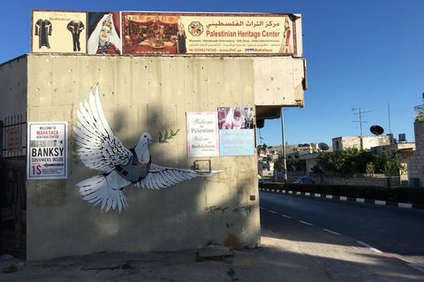 Eine weiße Friedenstaube mit kugelsicherer Weste und Zweig im Schnabel ist als Grafito auf einer Hauswand zu sehen